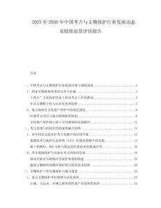 2025至2030年中國考古與文物保護行業(yè)發(fā)展動態(tài)及投資前景評估報告