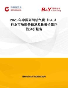 2025年中國(guó)副駕駛氣囊（PAB）行業(yè)市場(chǎng)前景預(yù)測(cè)及投資價(jià)值評(píng)估分析報(bào)告