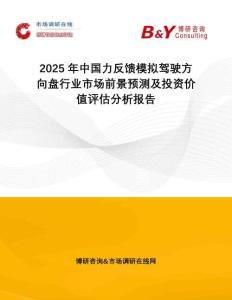 2025年中國力反饋模擬駕駛方向盤行業市場前景預測及投資價值評估分析報告