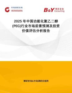 2025年中國功能化聚乙二醇(PEG)行業(yè)市場前景預(yù)測及投資價值評估分析報告