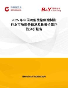 2025年中國(guó)功能性聚氨酯樹(shù)脂行業(yè)市場(chǎng)前景預(yù)測(cè)及投資價(jià)值評(píng)估分析報(bào)告