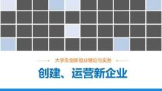 《大學生創新創業理論與實務》八