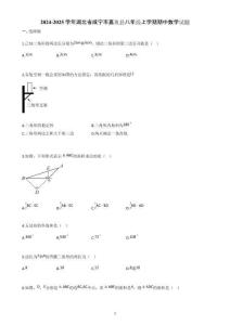 2024-2025學(xué)年湖北省咸寧市嘉魚縣八年級(jí)上學(xué)期期中數(shù)學(xué)試題