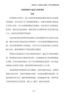 加強(qiáng)預(yù)算執(zhí)行監(jiān)控與風(fēng)險(xiǎn)管理