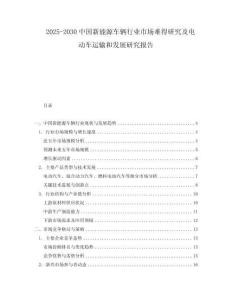 2025-2030中國新能源車輛行業(yè)市場難得研究及電動(dòng)車運(yùn)輸和發(fā)展研究報(bào)告