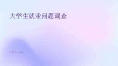 大學(xué)生就業(yè)問題調(diào)查