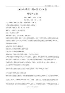 高一化學(xué)人教版（2019）必修一期中測(cè)試B卷——A4版式