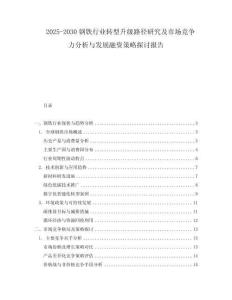 2025-2030鋼鐵行業(yè)轉(zhuǎn)型升級(jí)路徑研究及市場(chǎng)競(jìng)爭(zhēng)力分析與發(fā)展融資策略探討報(bào)告