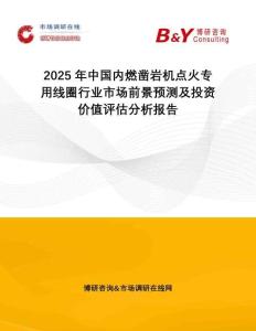 2025年中國(guó)內(nèi)燃鑿巖機(jī)點(diǎn)火專(zhuān)用線(xiàn)圈行業(yè)市場(chǎng)前景預(yù)測(cè)及投資價(jià)值評(píng)估分析報(bào)告