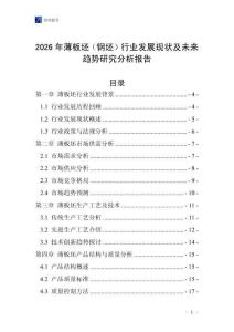 2026年薄板坯（钢坯）行业发展现状及未来趋势研究分析报告