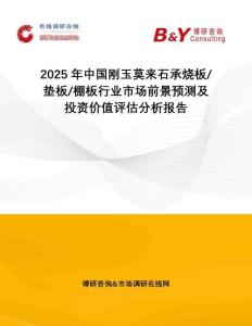 2025年中國剛玉莫來石承燒板 墊板 棚板行業(yè)市場(chǎng)前景預(yù)測(cè)及投資價(jià)值評(píng)估分析報(bào)告