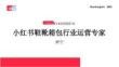 小紅書種草學(xué)2025小紅書電商雙11-鞋靴箱包行業(yè)運營指南