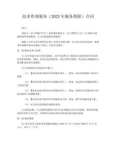 技术咨询服务（2025年服务期限）合同