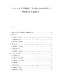 2025-2030中國新能源行業(yè)市場格局解析及增長潛力研判與投資價(jià)值分析
