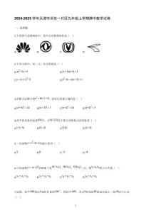 2024-2025學年天津市河東一片區(qū)九年級上學期期中數(shù)學試卷【含答案】