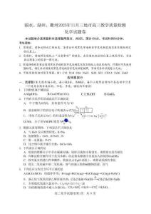 湖麗衢一?；瘜W(xué)試題＋答案