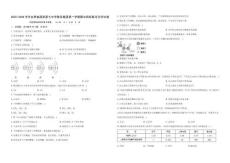 甘肅省酒泉市第七中學(xué)教育集團(tuán)四校2025-2026學(xué)年九年級(jí)上學(xué)期期中聯(lián)考化學(xué)試卷（含解析）　