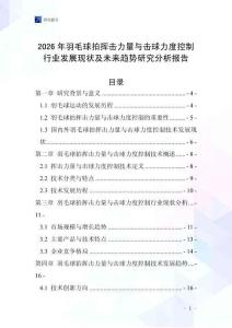 2026年羽毛球拍揮擊力量與擊球力度控制行業發展現狀及未來趨勢研究分析報告