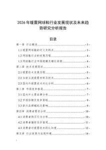 2026年緩震網(wǎng)球鞋行業(yè)發(fā)展現(xiàn)狀及未來(lái)趨勢(shì)研究分析報(bào)告