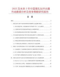 2025及未來5年中國潛孔鉆沖擊器市場數(shù)據(jù)分析及競爭策略研究報(bào)告