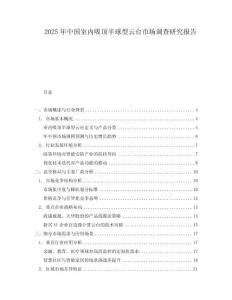 2025年中國室內吸頂半球型云臺市場調查研究報告