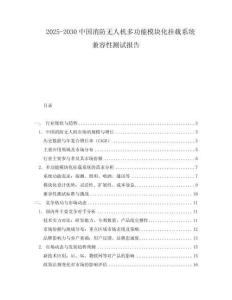 2025-2030中國消防無人機多功能模塊化掛載系統(tǒng)兼容性測試報告