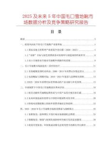 2025及未來5年中國毛口雪地靴市場數(shù)據(jù)分析及競爭策略研究報告