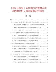 2025及未來(lái)5年中國(guó)片狀銀觸點(diǎn)市場(chǎng)數(shù)據(jù)分析及競(jìng)爭(zhēng)策略研究報(bào)告
