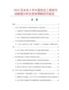 2025及未來5年中國安全工具柜市場數(shù)據(jù)分析及競爭策略研究報告