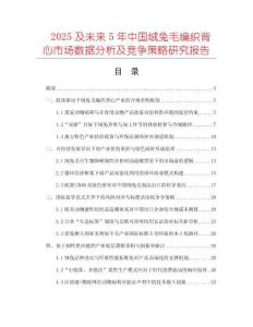 2025及未來5年中國絨兔毛編織背心市場數(shù)據(jù)分析及競爭策略研究報告