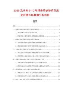 2025及未來5-10年焊條用鐵粉項目投資價值市場數據分析報告