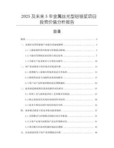 2025及未來5年金屬絲光型鋁銀漿項目投資價值分析報告