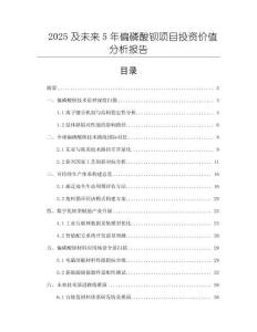 2025及未來5年偏磷酸鋇項目投資價值分析報告