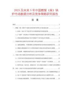 2025及未来5年中国燃煤（柴）锅炉市场数据分析及竞争策略研究报告