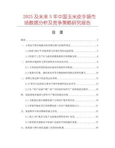 2025及未來5年中國玉米皮手袋市場(chǎng)數(shù)據(jù)分析及競(jìng)爭(zhēng)策略研究報(bào)告