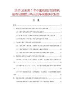 2025及未来5年中国机用打包带机组市场数据分析及竞争策略研究报告
