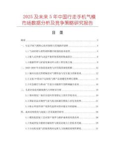 2025及未來5年中國行走手機(jī)氣模市場數(shù)據(jù)分析及競爭策略研究報(bào)告