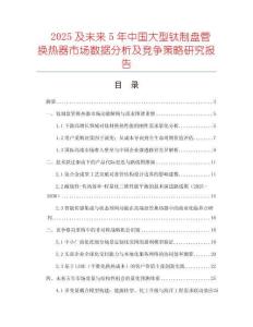 2025及未來5年中國大型鈦制盤管換熱器市場數(shù)據(jù)分析及競爭策略研究報告