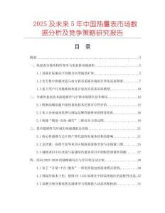 2025及未來5年中國熱量表市場數(shù)據(jù)分析及競爭策略研究報告