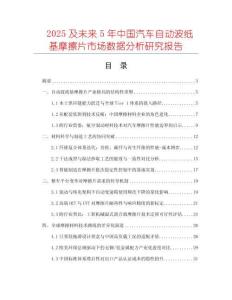 2025及未來5年中國汽車自動波紙基摩擦片市場數據分析研究報告
