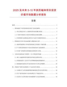 2025及未來(lái)5-10年拱形磁體項(xiàng)目投資價(jià)值市場(chǎng)數(shù)據(jù)分析報(bào)告