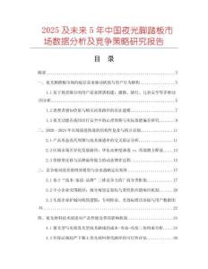2025及未来5年中国夜光脚踏板市场数据分析及竞争策略研究报告