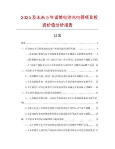 2025及未來(lái)5年話筒電池充電器項(xiàng)目投資價(jià)值分析報(bào)告