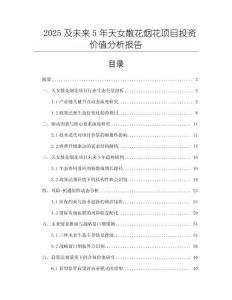 2025及未來(lái)5年天女散花煙花項(xiàng)目投資價(jià)值分析報(bào)告