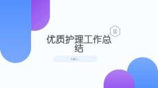 優質護理工作總結