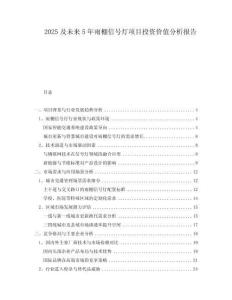 2025及未來5年雨棚信號燈項目投資價值分析報告