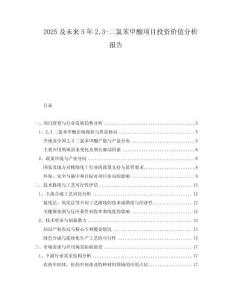 2025及未來5年23-二氯苯甲酸項目投資價值分析報告
