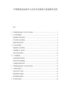 中國漂洗添加劑中小企業(yè)生存現(xiàn)狀與發(fā)展路徑分析