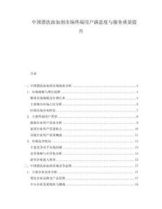 中國漂洗添加劑市場終端用戶滿意度與服務(wù)質(zhì)量提升
