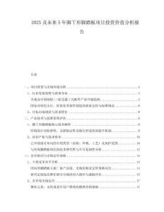 2025及未來5年腳丫形腳踏板項目投資價值分析報告